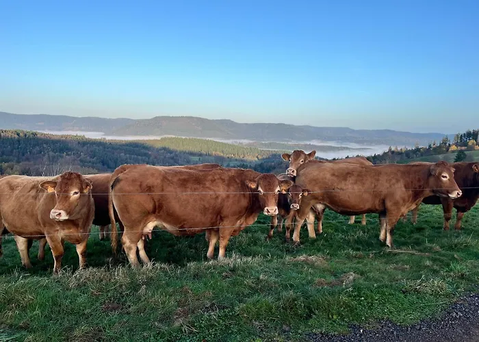Gite De Montagne -Bellefosse Alsace