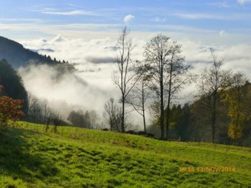 De Montagne -bellefosse Alsace Hébergement de vacances *
