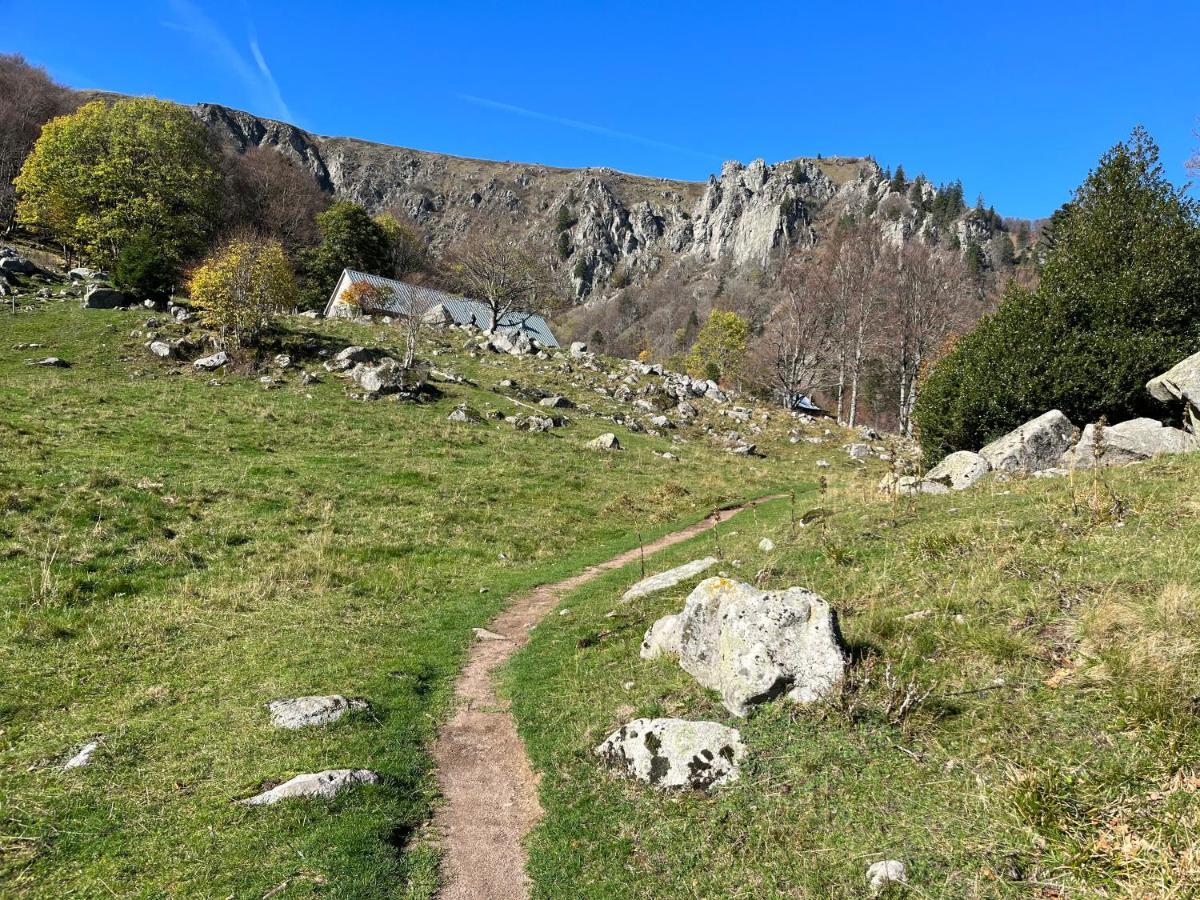 Hébergement de vacances De Montagne -bellefosse Alsace Bellefosse