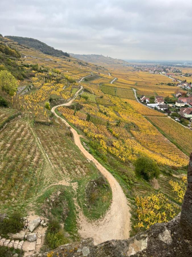 De Montagne -bellefosse Alsace Bellefosse