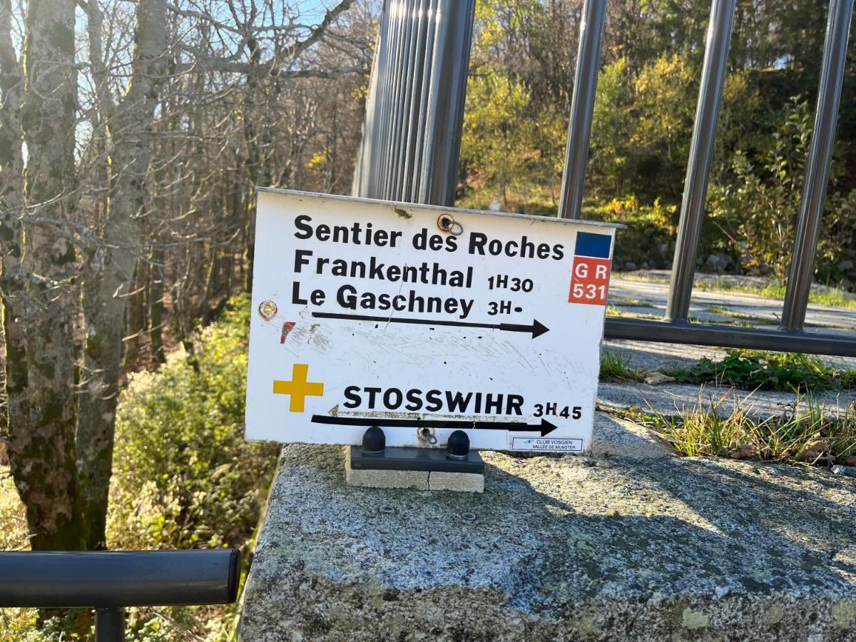 De Montagne -bellefosse Alsace *
