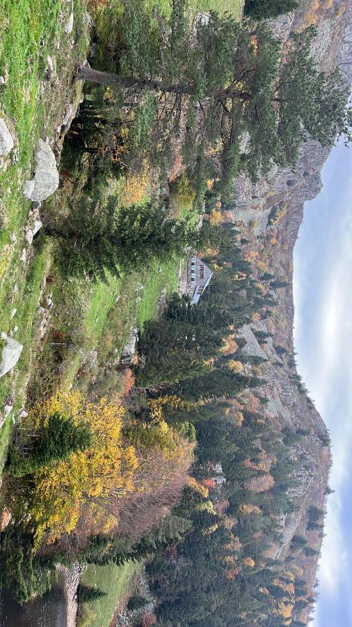 Hébergement de vacances De Montagne -bellefosse Alsace