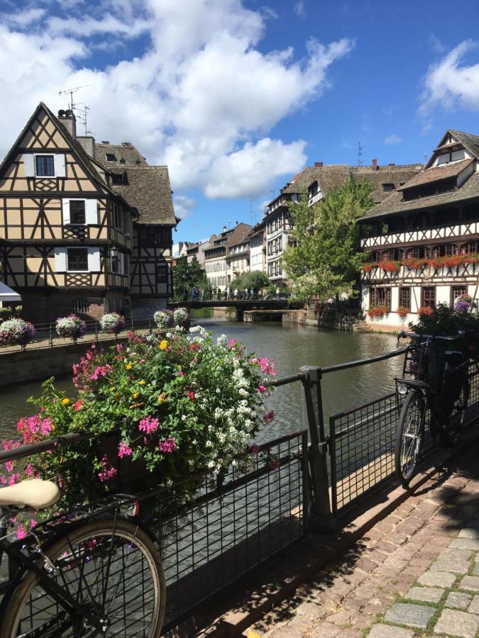 De Montagne -bellefosse Alsace Hébergement de vacances