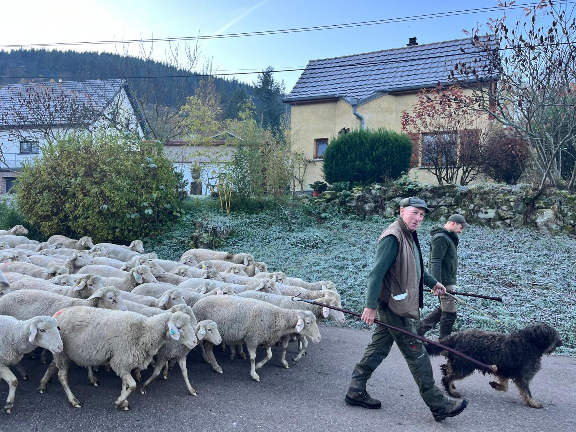 Hébergement de vacances De Montagne -bellefosse Alsace *