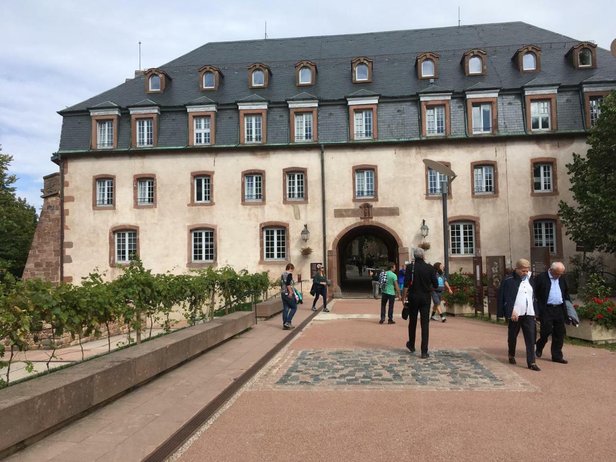 Hébergement de vacances De Montagne -bellefosse Alsace